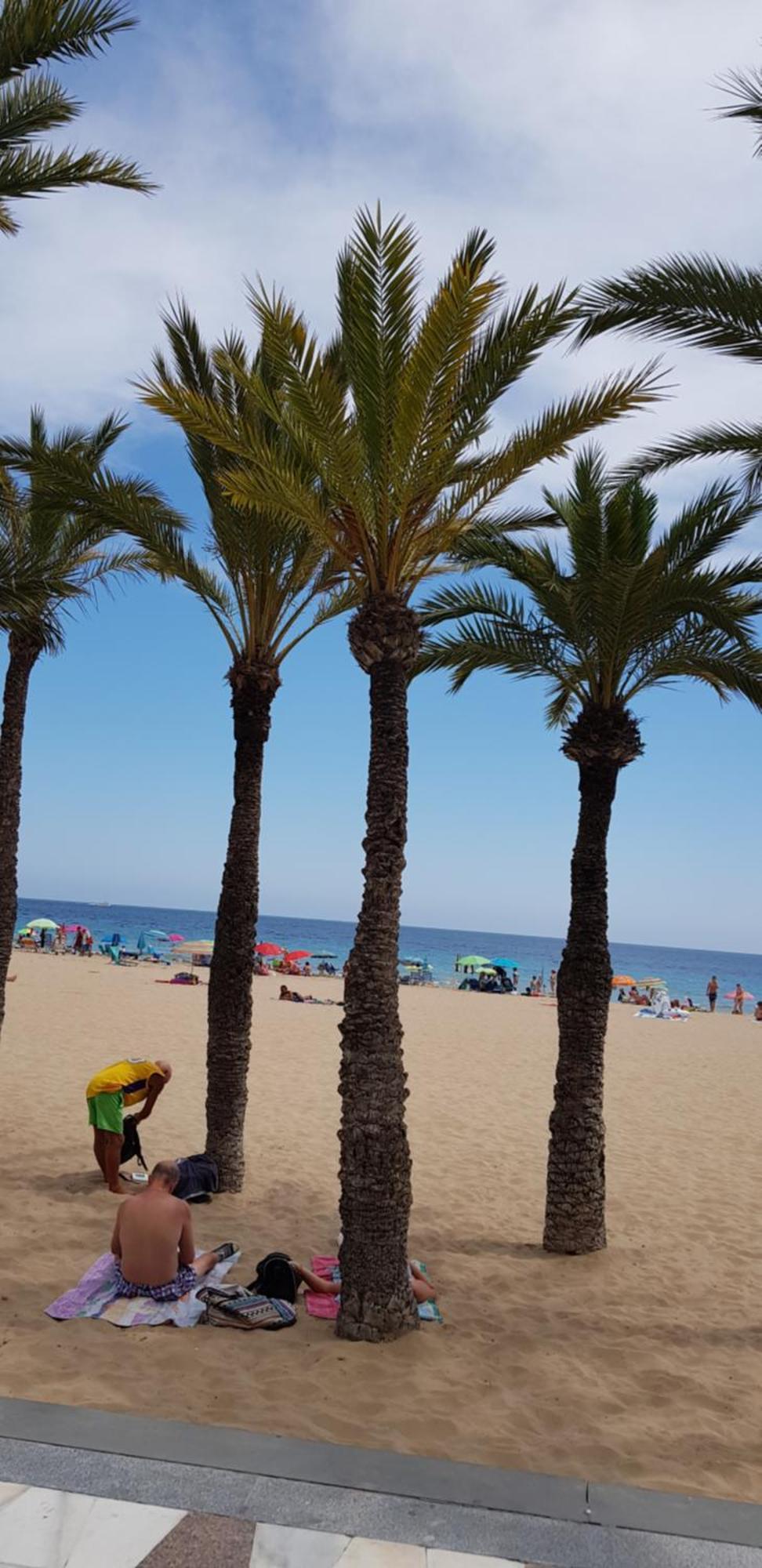 Apartmán Benidorm Beach Exteriér fotografie