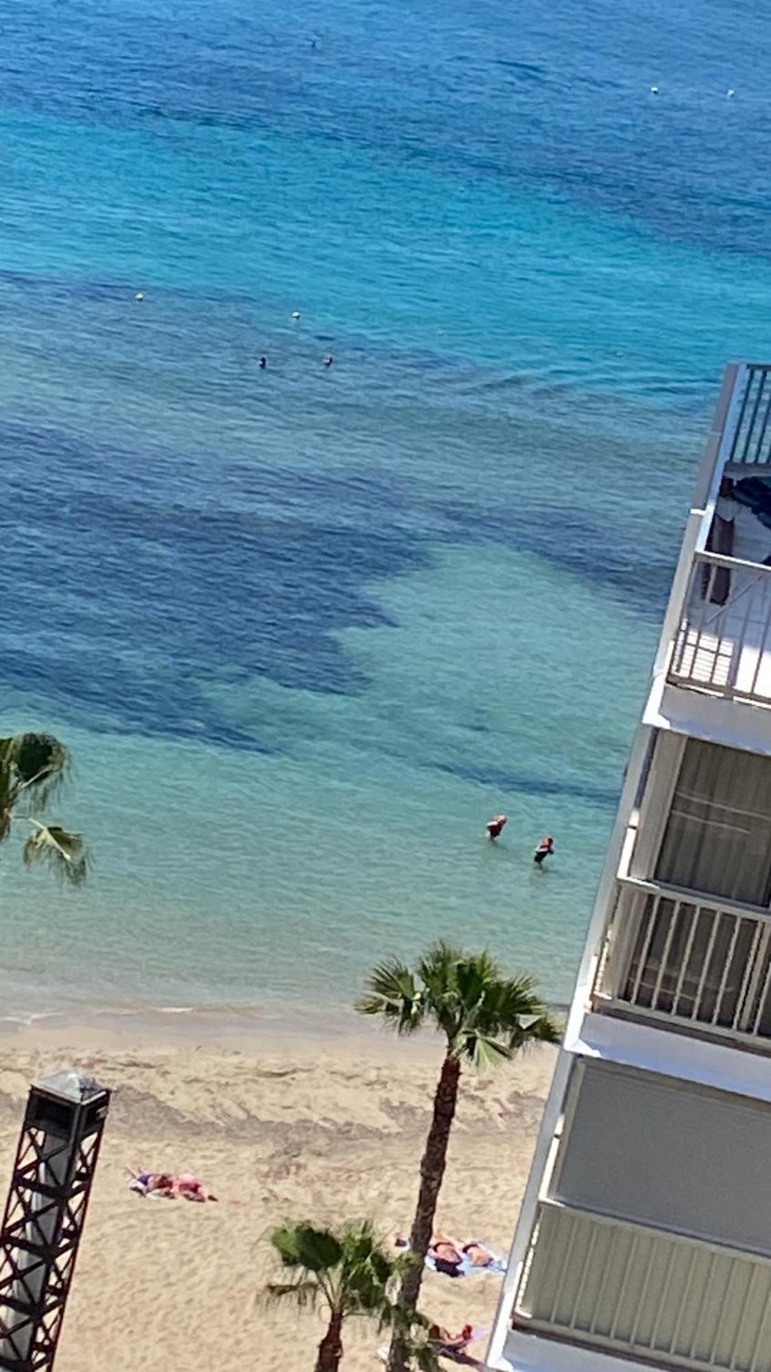 Apartmán Benidorm Beach Exteriér fotografie